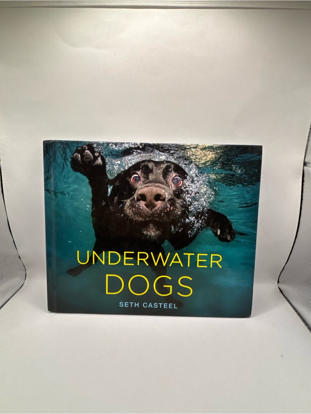 Underwater Dogs by - Blue Cover